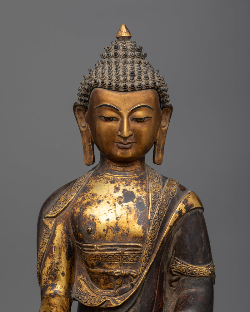 buddha-shakyamuni-seated-in-meditation-figure