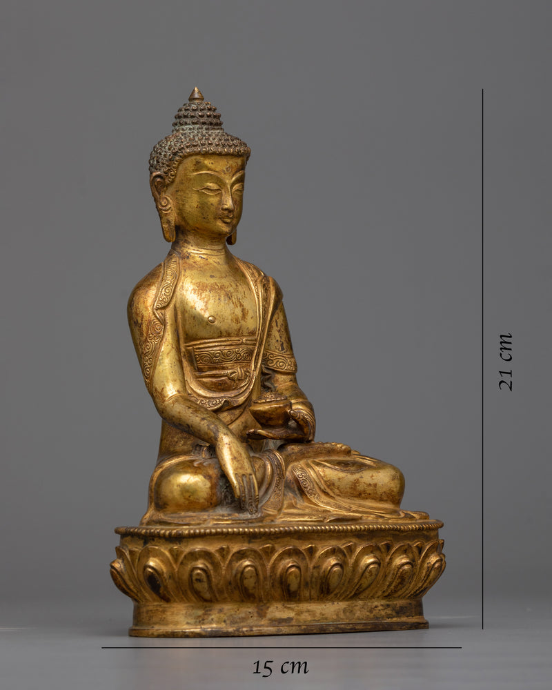 buddha gautama shakyamuni