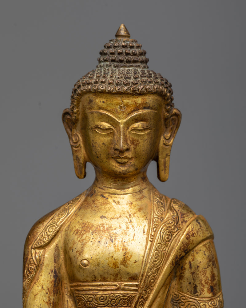 Buddha Gautama Shakyamuni | Beacon of Enlightenment