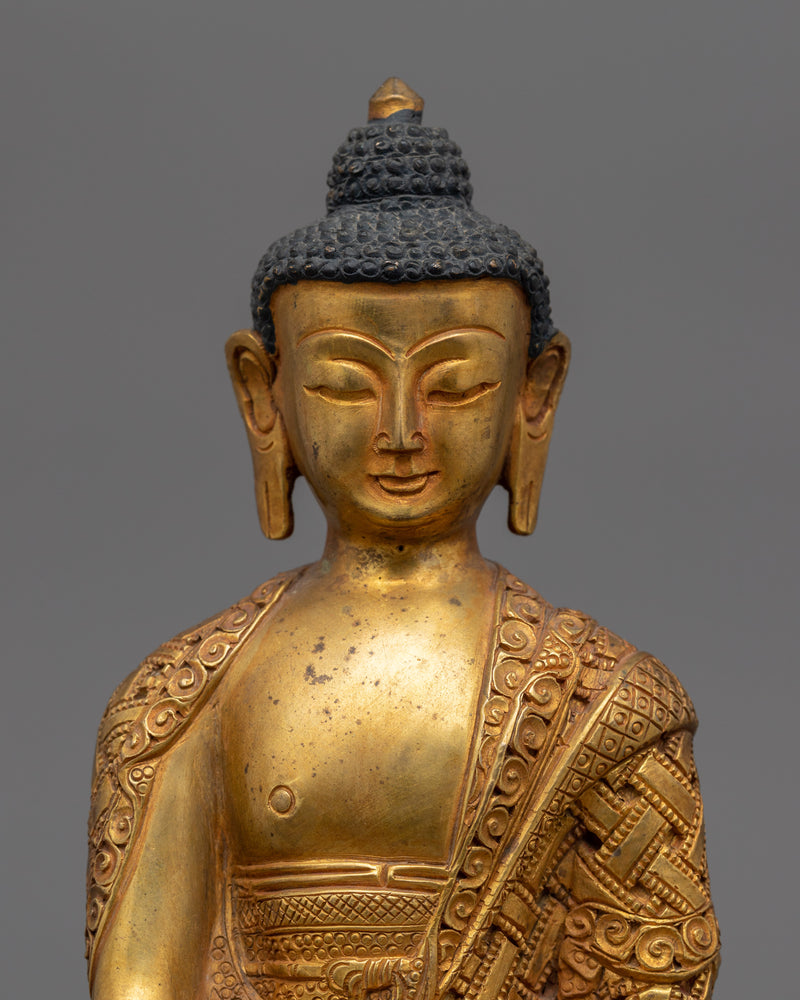 gautam shakyamuni buddha 