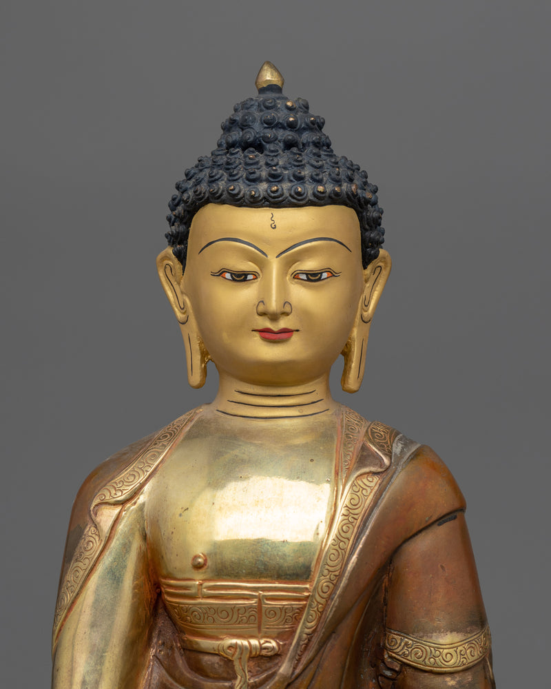 buddha amitabha mudra 