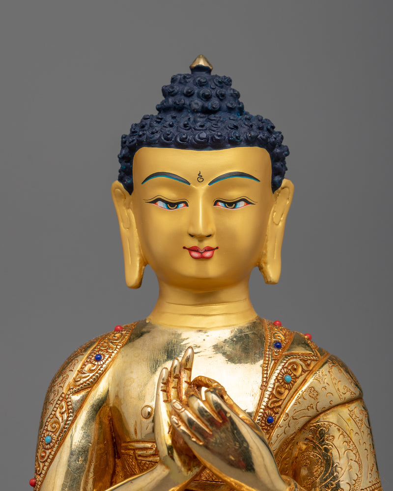 Five Dyani Buddha | Akshobya, Amitabha, Amogasiddi, Ratnasambhava, Vairocana Buddha