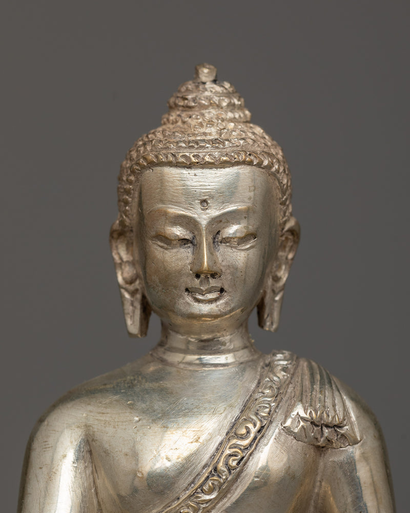 shakyamuni-buddha-full-silver-plated-body