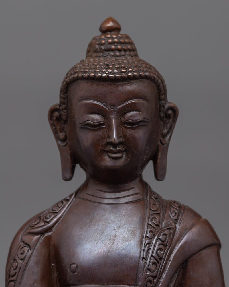 medicine-buddha-20cm-small-oxidized