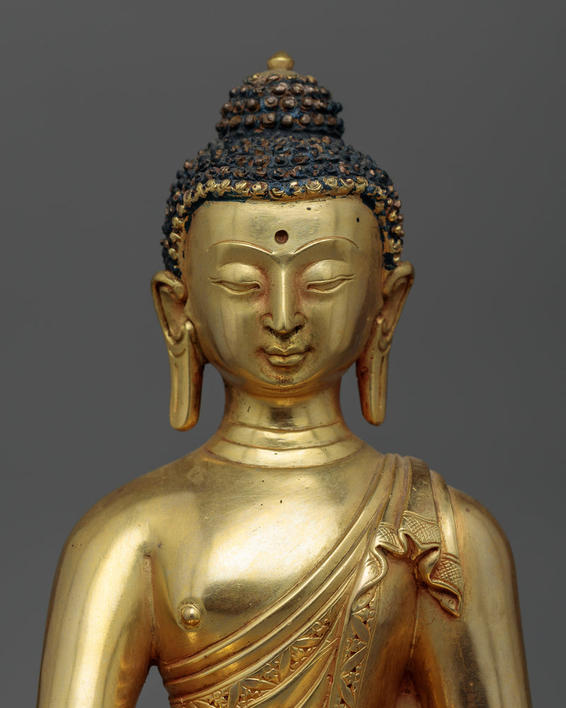 shakyamuni-buddha-dharma-teacher