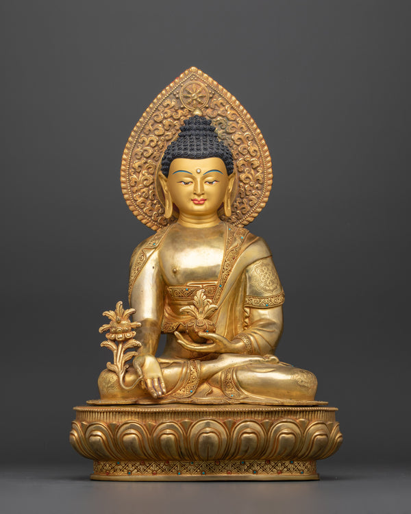 spiritual-medicine-buddha