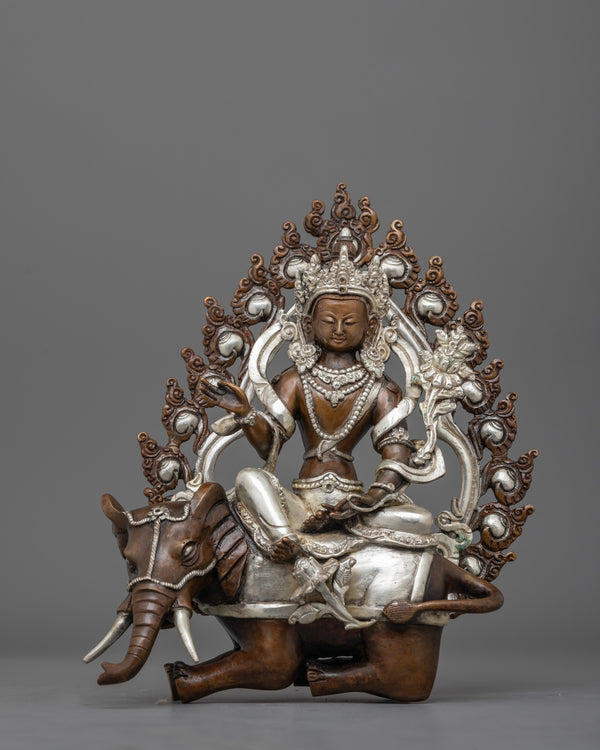 Samantabhadra Statue