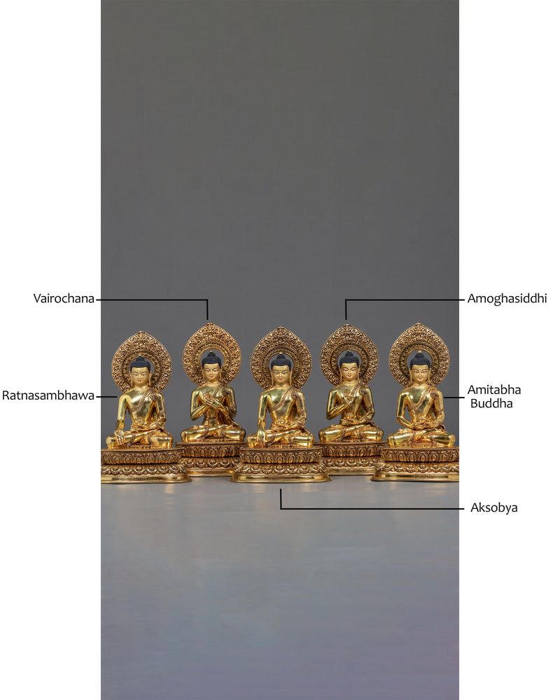 5 Dhyani Buddhas Statue Set | Aksobhya, Amitabha, Amoghasiddhi, Ratnasambhava and Vairocana